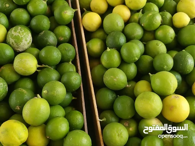 البيع ليمون اخظر عماني كراتين 7 كيلو الكرتون ب4 ريال