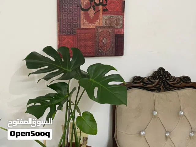 لوحات فن تجريدي ابداعية