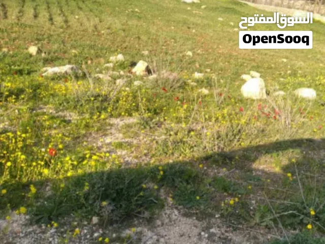 Farm Land for Sale in Jerash Other