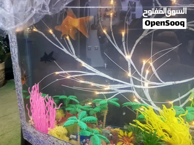 حوض سمك مزين باسلوب حدث بسعر حرق 30 دينار