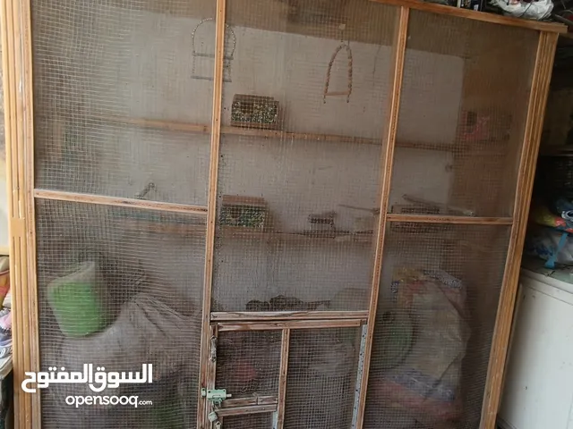 قفص طيور الحب