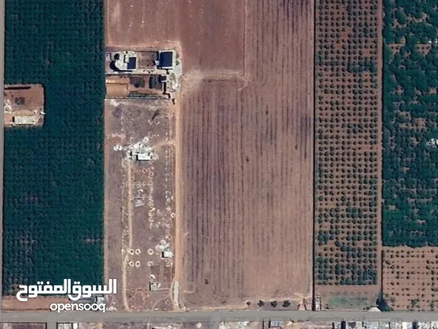 Residential Land for Sale in Homs Other