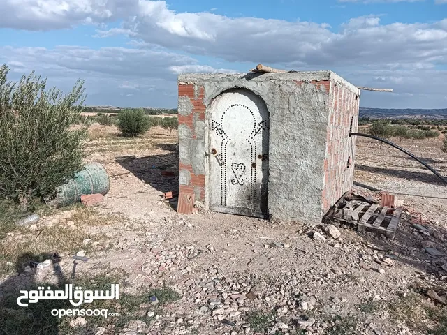 Farm Land for Sale in Kairouan Other