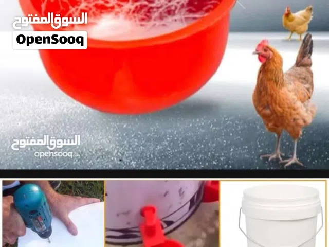 حوض ماء واكل للطيور