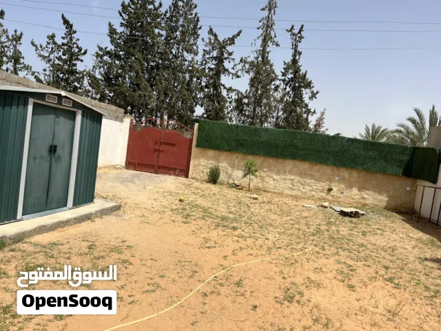 ارض و استوديو
