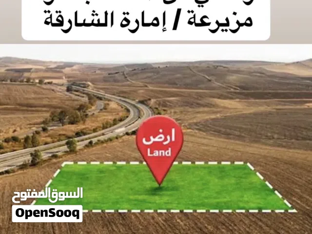 اراضي مزيرعة