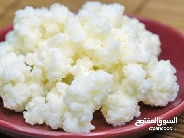 الكفير او الكيفير ( الفطر الهندي ) لزياده مناعة الجسم