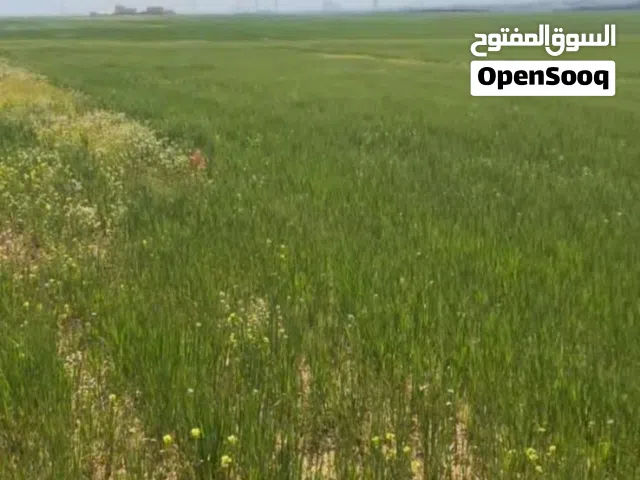 “فرصة استثمارية ذهبية في زويزا الغربي قريبة من التنظيم ومشروع الامراء.