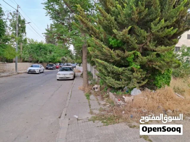 Residential Land for Sale in Amman Shmaisani