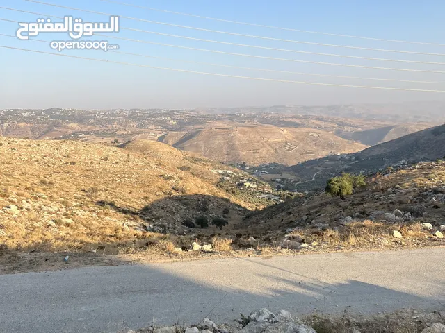 Residential Land for Sale in Salt Al Balqa'