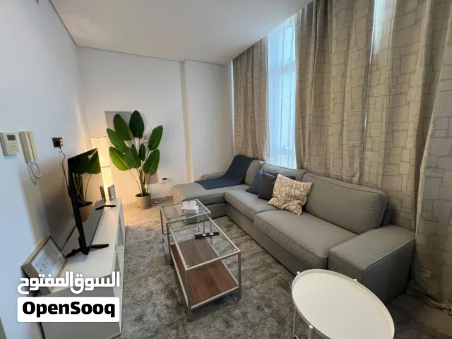 BRAND NEW FULLY FURNISHED 2 BHK FOR RENT - MUSCAT HILLS !!