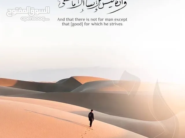 أمجد حمزة