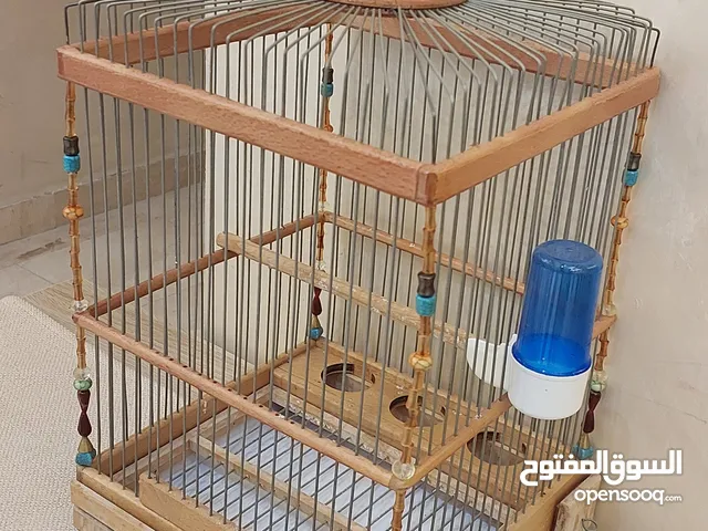 قفص عصفور جميل