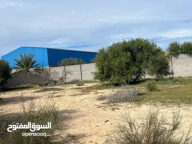 Mixed Use Land for Rent in Misrata AlQadariya