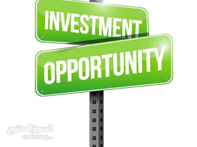 We are looking for a serious investor