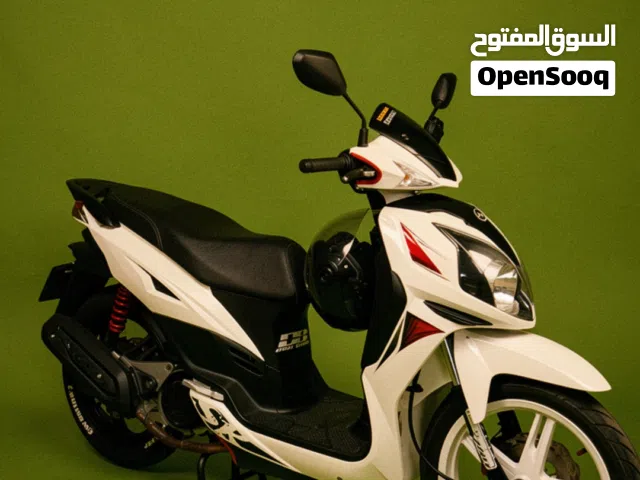 2022 SYM Other