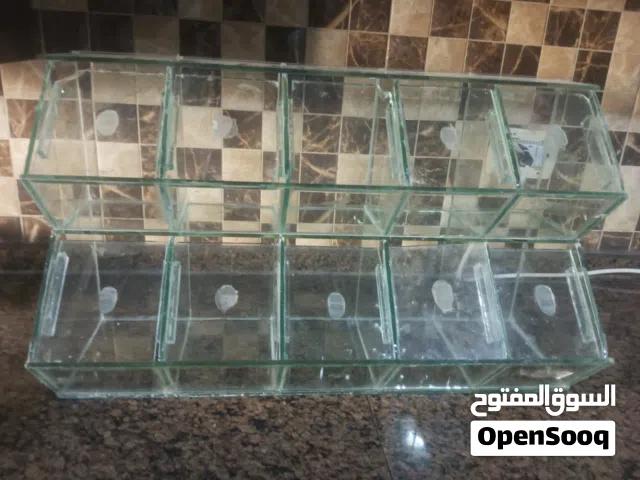 حافظة بهارات