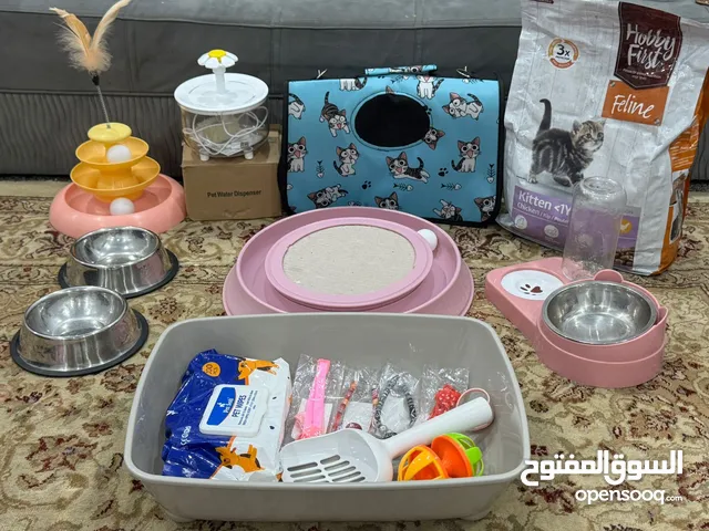مستلزمات قطوه مع الالعاب