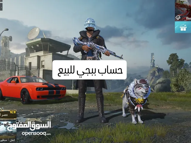 Pubg Accounts and Characters for Sale in Jazan