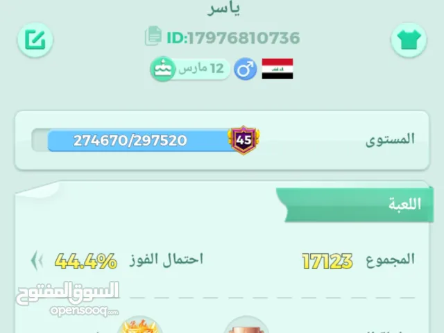 حساب لودو مرتب