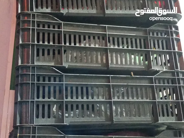 قابيات تمرررررررر