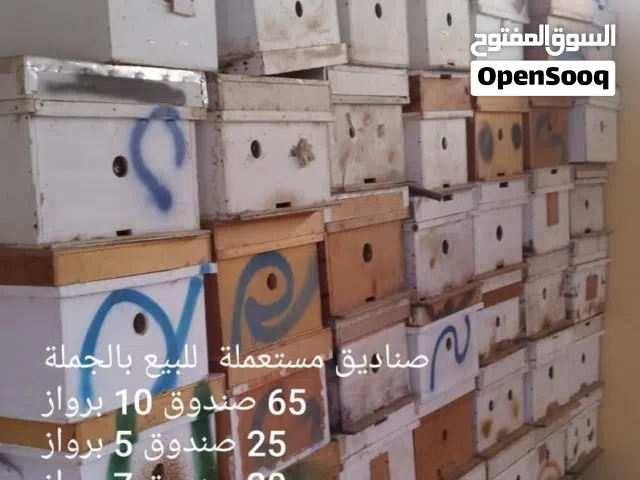 صناديق نحل للبيع