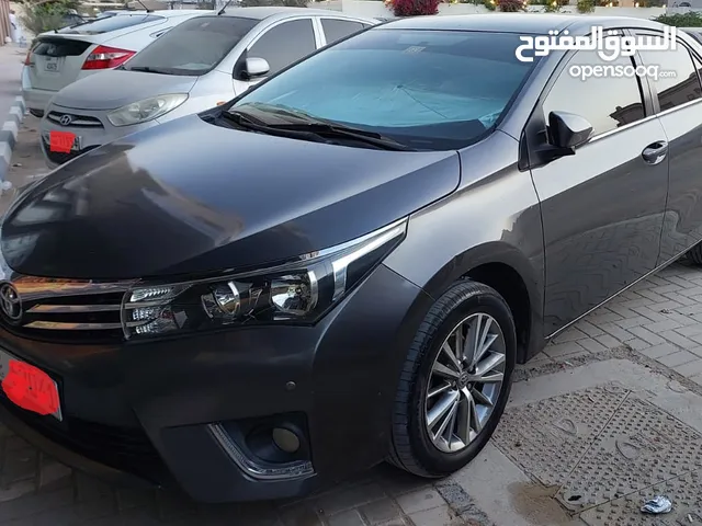 Toyota corolla, Grey color