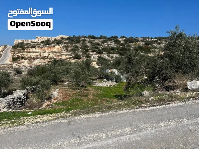 نمرة ارض للبيع