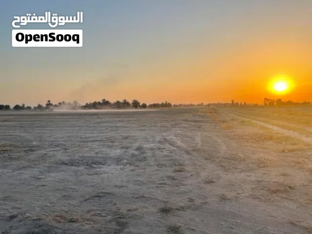 ارض 46 دونم طابو سند 25  . للبيع