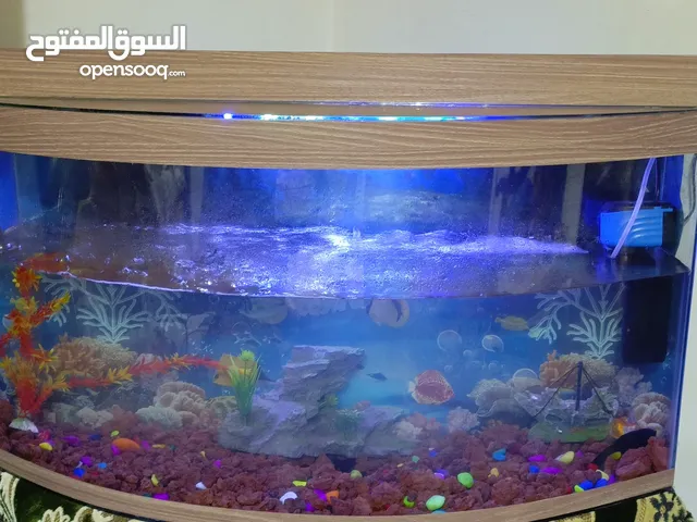 حوض سمك للبيع