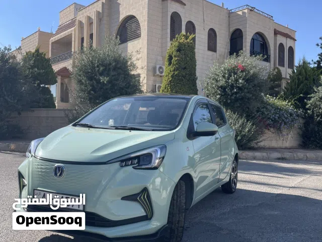 2022 Changan E-Star
