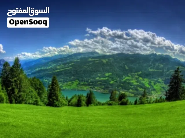قطعة ارض  مساحتها 9000.م  هكتار الا ///  حى الخويبية  ///