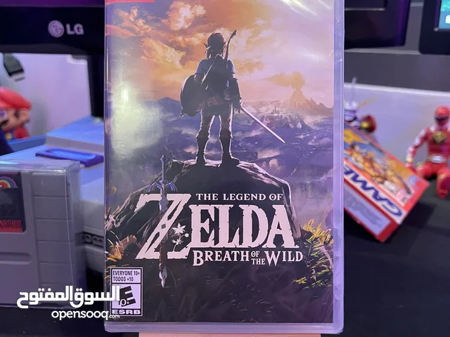 Legend of Zelda BOTW - Brand New