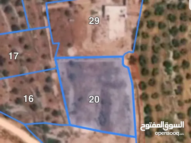 Residential Land for Sale in Ramallah and Al-Bireh Dayr Ghasana
