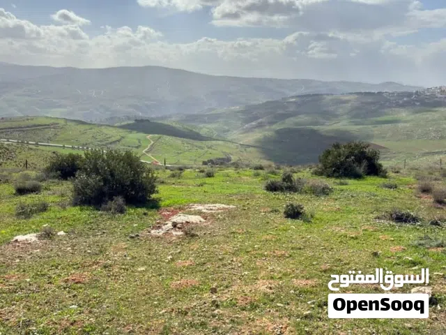 Mixed Use Land for Sale in Jerash Unaybah