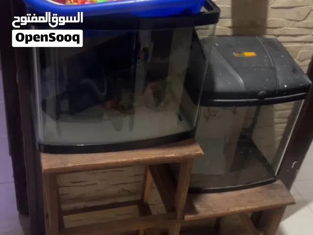 عدد 2 حوض سمك مع ترابيزه مصصمه خصيصا لهم