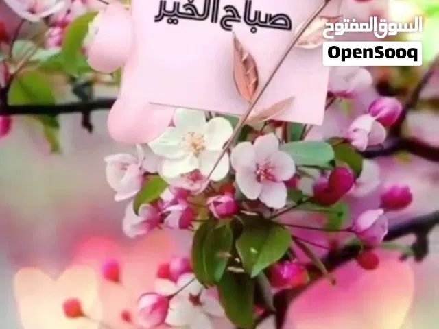 مطلوب شخص مشاركة سكن دوار صادق شارع تونس  قريب من سنتربوينت او  متاح للايجار  او غرفه عادي
