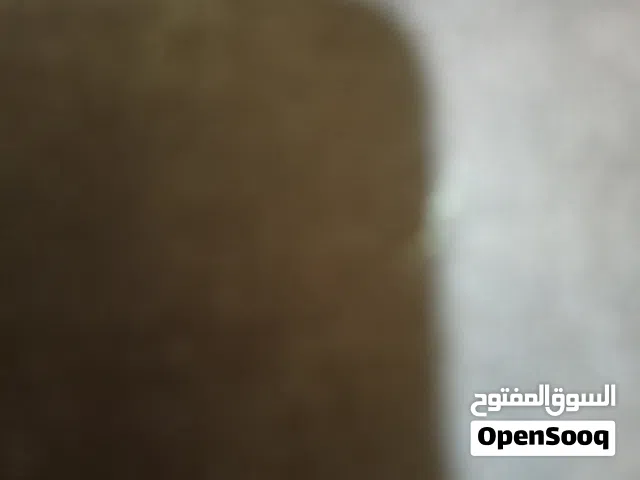 ملكيه قارب
