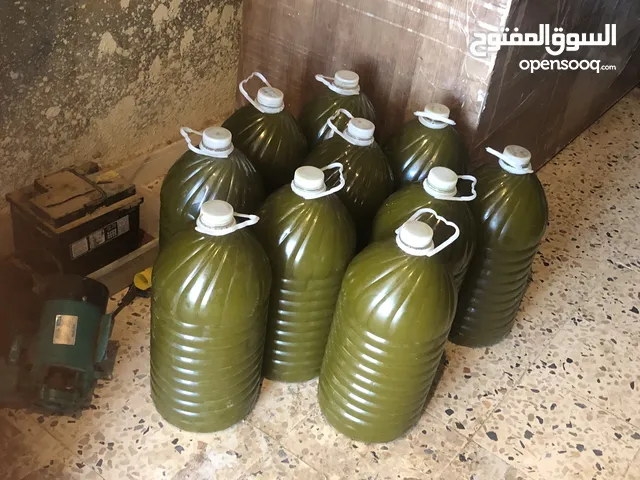 زيت زيتون بني وليد للبيع
