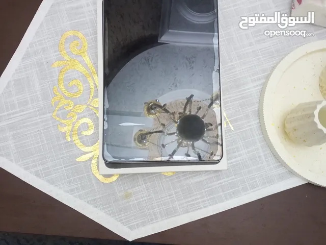 Xiaomi Other 256 GB in Misrata