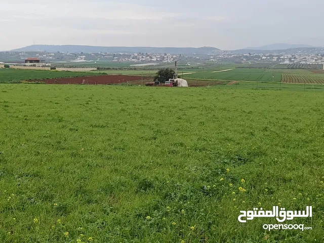 اراضي للبيع