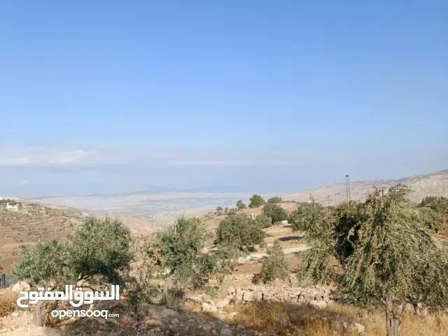 Farm Land for Sale in Salt Other