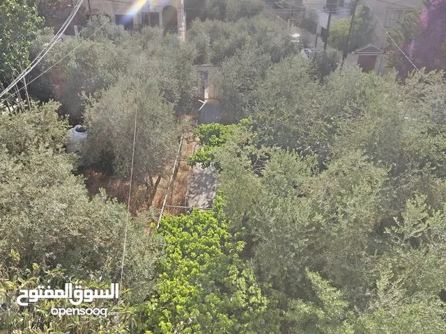 Residential Land for Sale in Irbid Aydoun