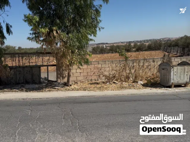 Residential Land for Sale in Amman Naour