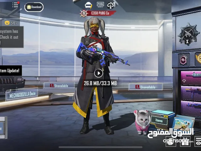 Pubg Accounts and Characters for Sale in Ajman