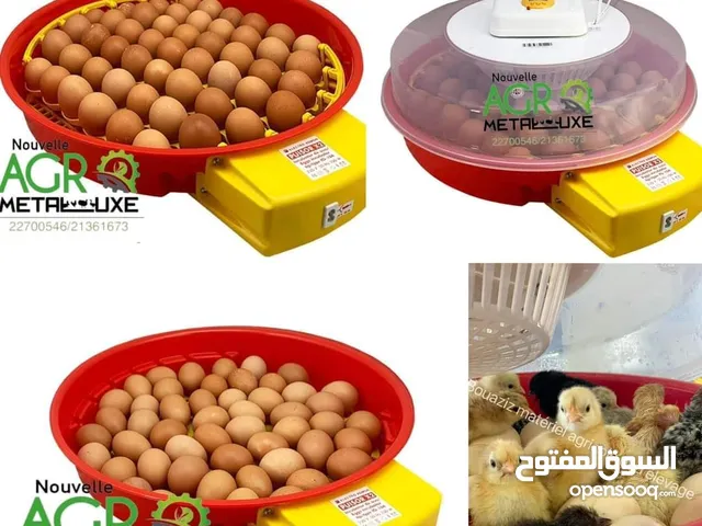 فقاسة الفلوس صغيره