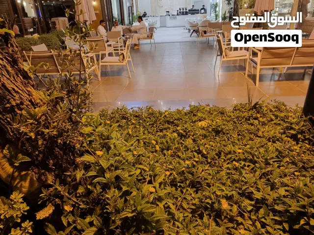للبيع محل 140 متر +مساحات جلسات خارجية 40 متر علي الطريق الساحلي مباشرة موقع ممتاز كوفي شغال ومعروف