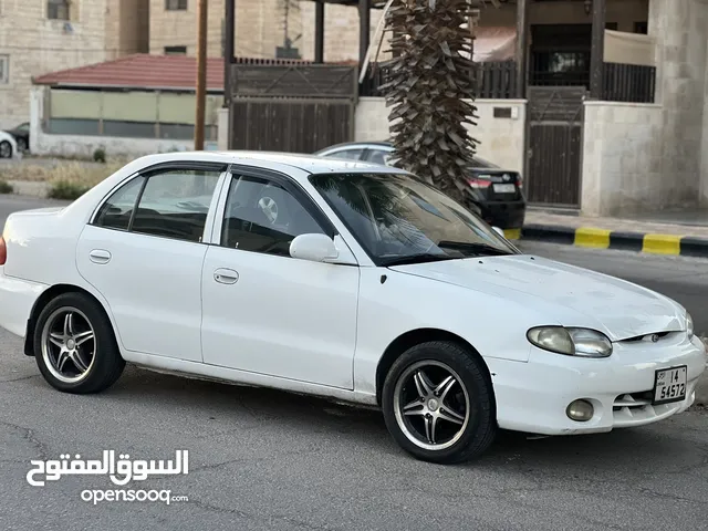 اكسنت 1996 قصة الدب بسعر مغري