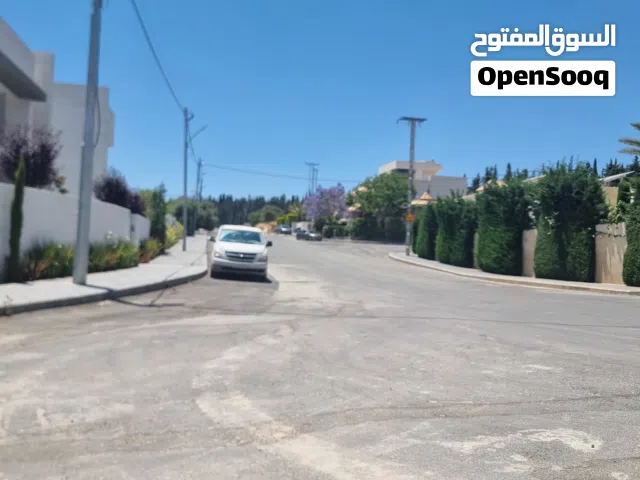 Residential Land for Sale in Amman Al Hummar