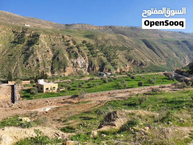 أرض زراعية في منطقة جلعد ألرميمين